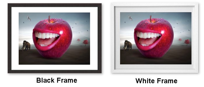 Select Your Frame